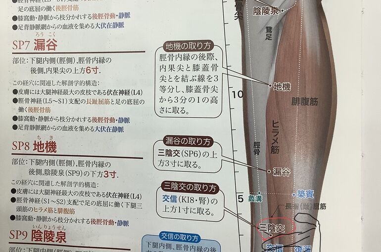 三陰交