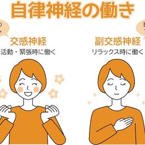 自律神経