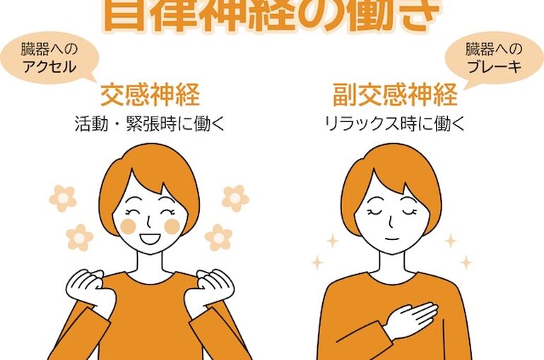 自律神経